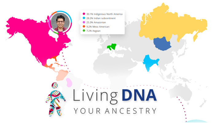 Living DNA Ancestry Test Kit Review